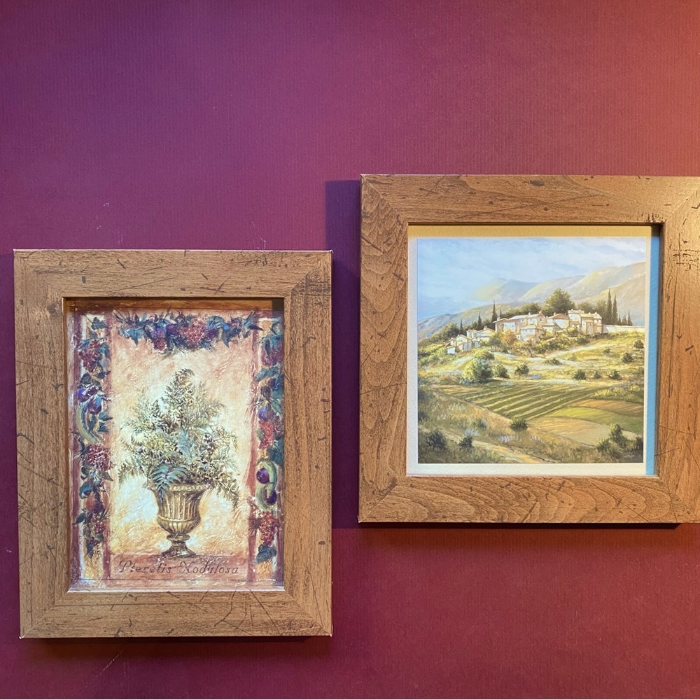Sonoma Set of 2 Tuscan themed framed pictures